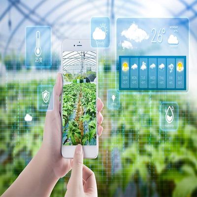 智慧農(nóng)業(yè)新篇章 物聯(lián)網(wǎng)智能溫室冷棚一體化種植系統(tǒng)規(guī)劃設(shè)計(jì)與技術(shù)開(kāi)發(fā)